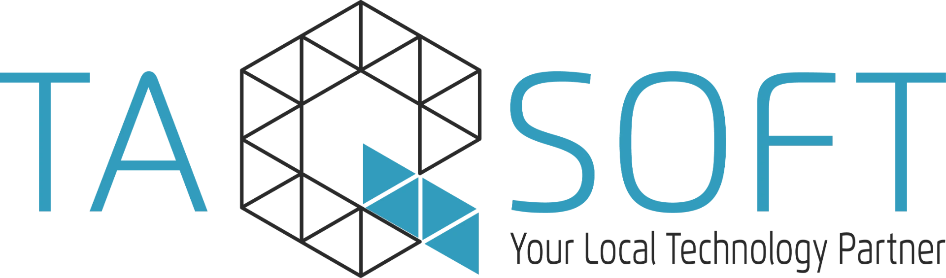 TaqSoft logo